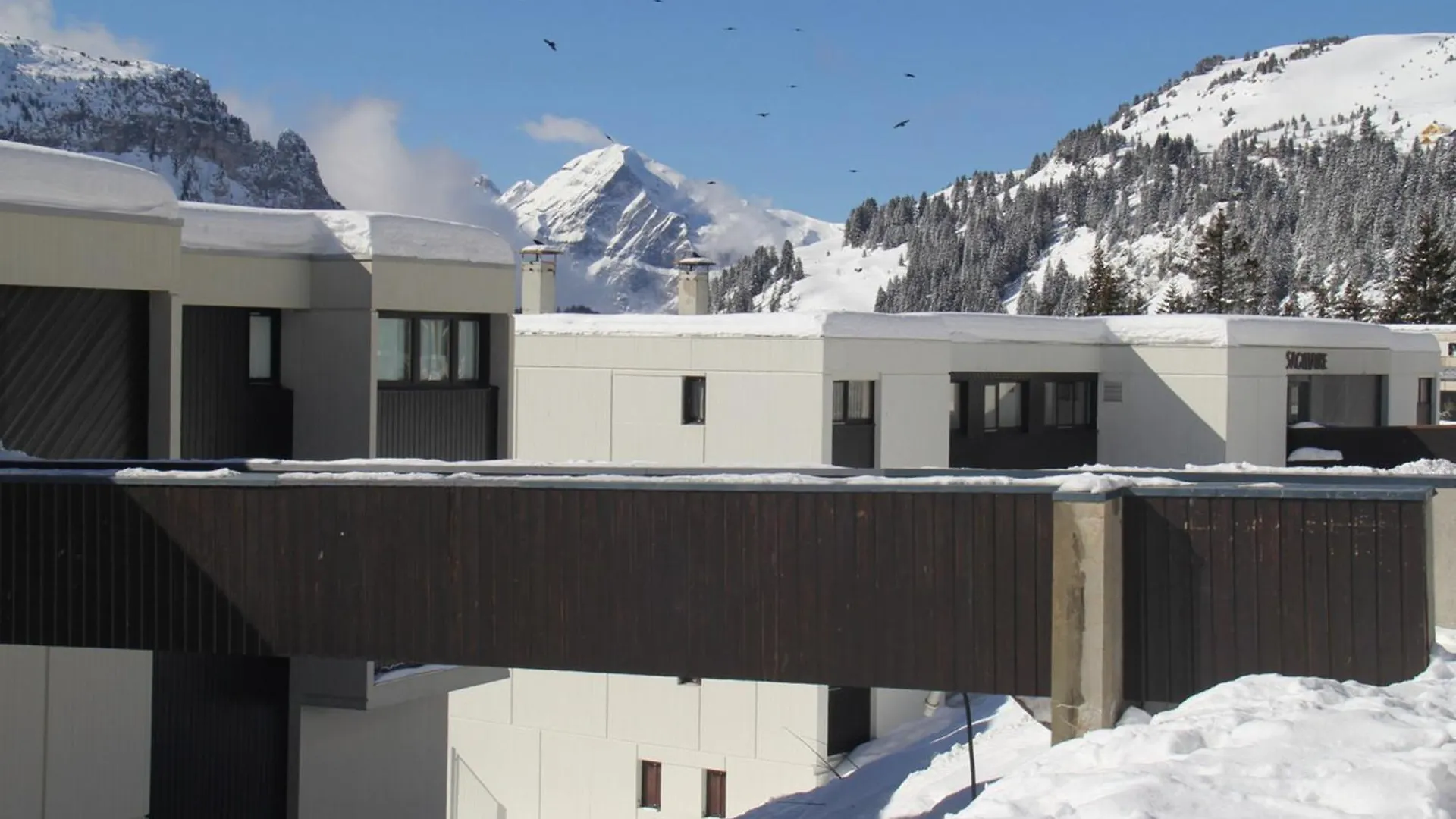Apartment Studio Renove - Flaine Foret - 4 Pers, Balcon, Casier A Ski - Fr-1-425-196 Araches-la-Frasse